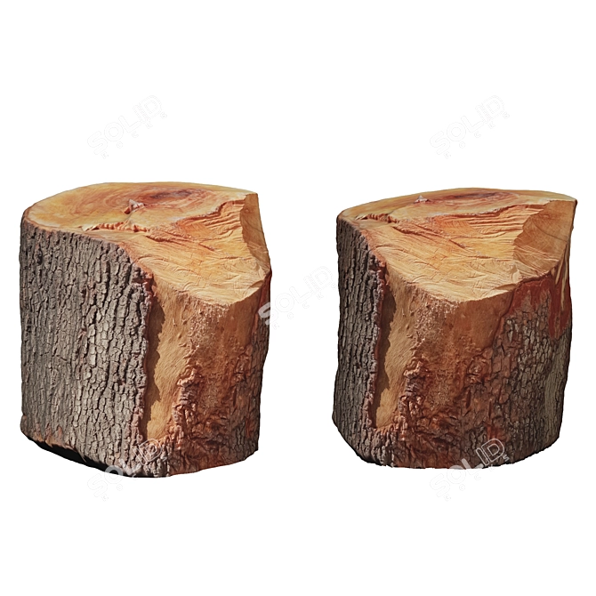Rustic Wood Log Stool 3D model image 1