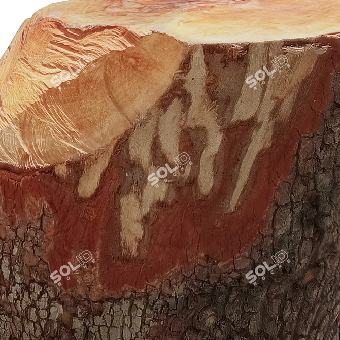 Rustic Wood Log Stool 3D model image 6