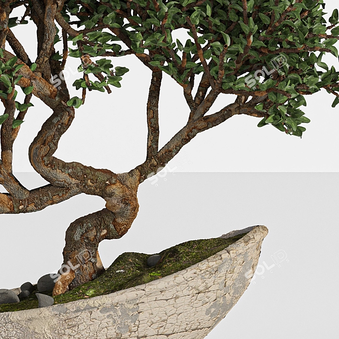 Artistic Bonsai 2015: Indoor Zen 3D model image 3