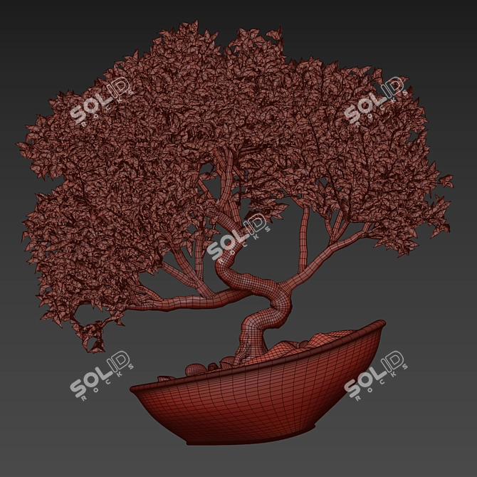 Artistic Bonsai 2015: Indoor Zen 3D model image 5