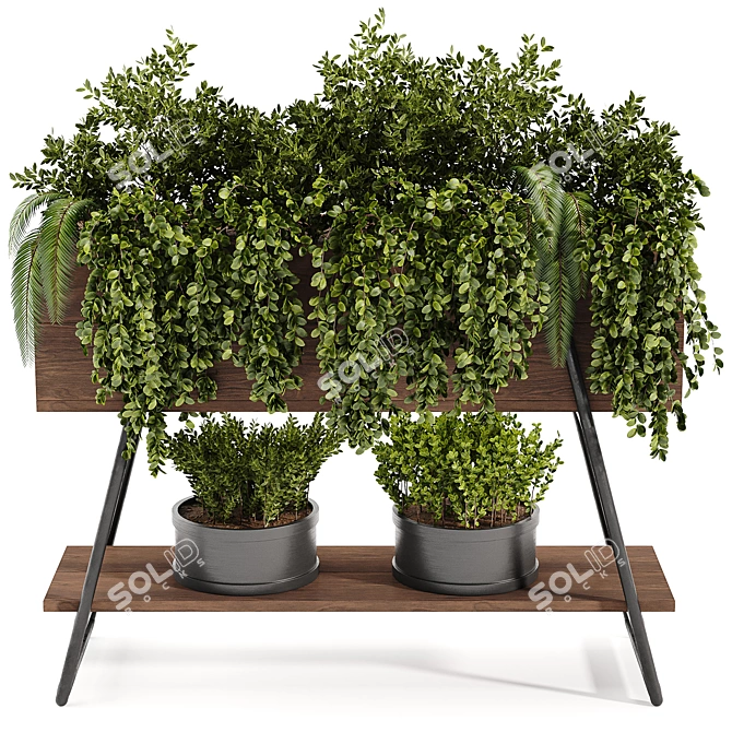 Lush Indoor Plant Collection 3D model image 1