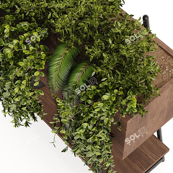 Lush Indoor Plant Collection 3D model image 4