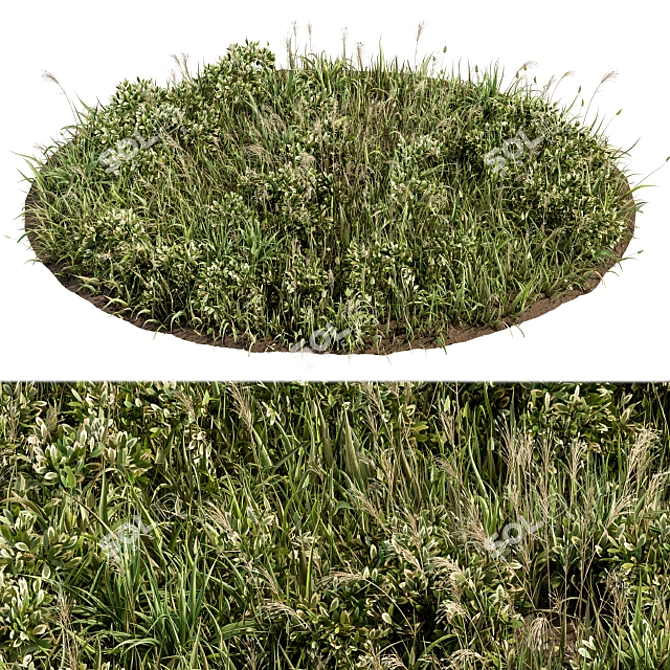 Lush Green Grass Mat 3D model image 2