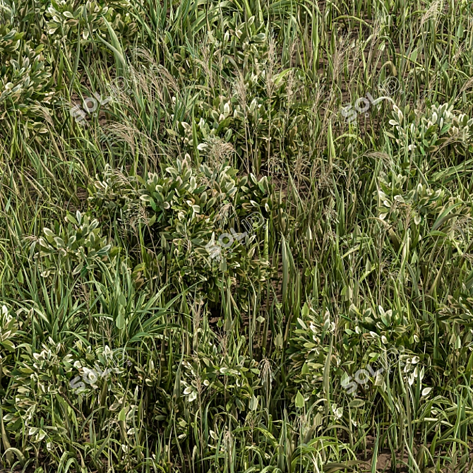 Lush Green Grass Mat 3D model image 3