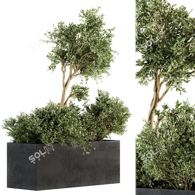 Nature's Haven: Outdoor Plant Set 3D model image 1