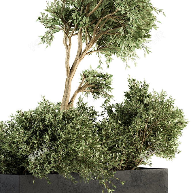 Nature's Haven: Outdoor Plant Set 3D model image 3