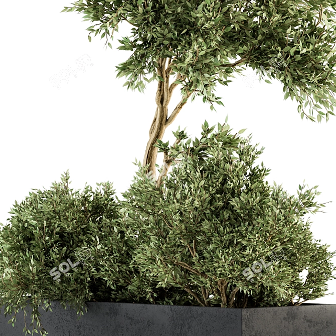 Nature's Haven: Outdoor Plant Set 3D model image 4