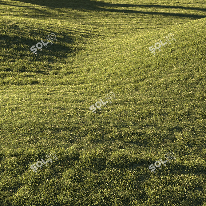 Premium Lawn Grass - Realistic 3D Model 3D model image 10