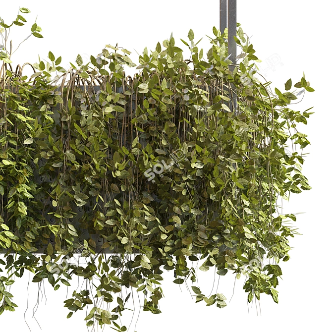 Fern in Plant Box: Indoor Greenery 3D model image 2