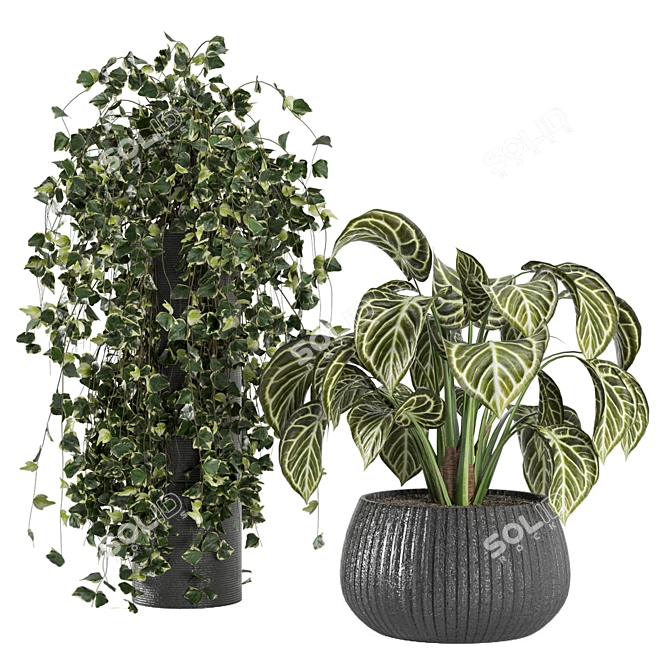 Stunning Indoor Plant Collection 3D model image 1