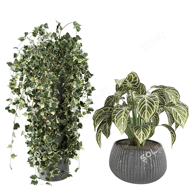 Stunning Indoor Plant Collection 3D model image 2