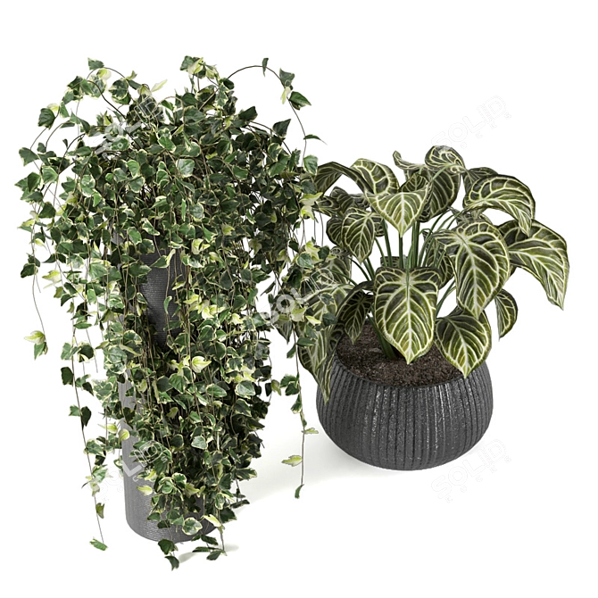 Stunning Indoor Plant Collection 3D model image 3