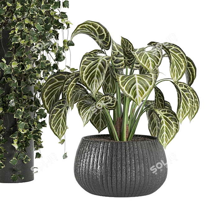 Stunning Indoor Plant Collection 3D model image 5