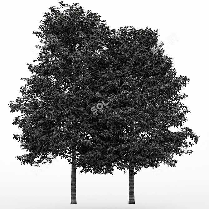 Shingle-Oak: Fall Foliage Tree 3D model image 3
