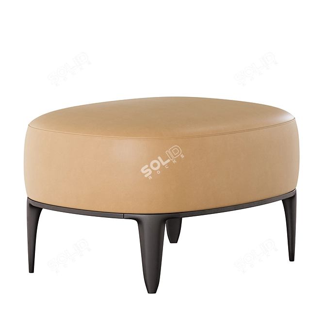 Elegant Poliform Gentleman Pouf 3D model image 2