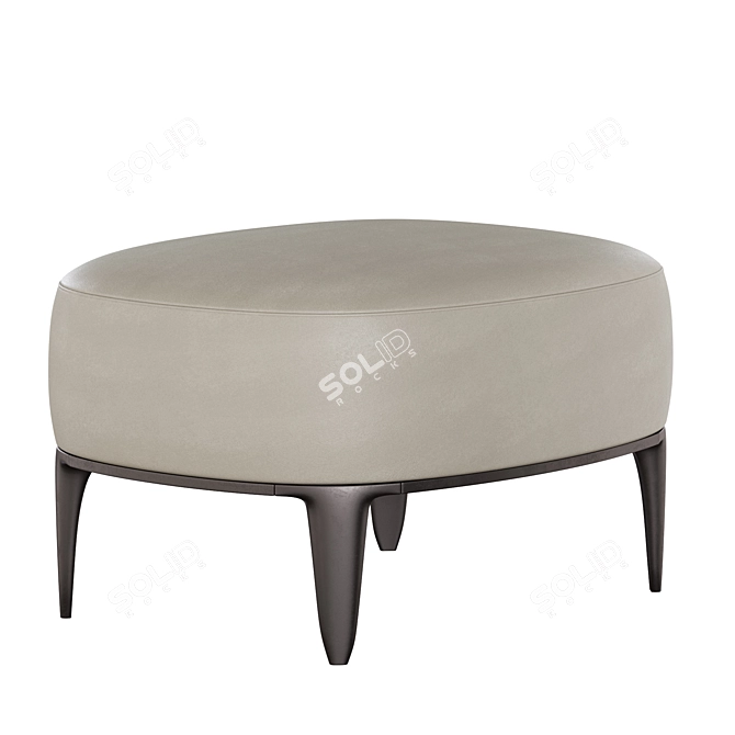 Elegant Poliform Gentleman Pouf 3D model image 4