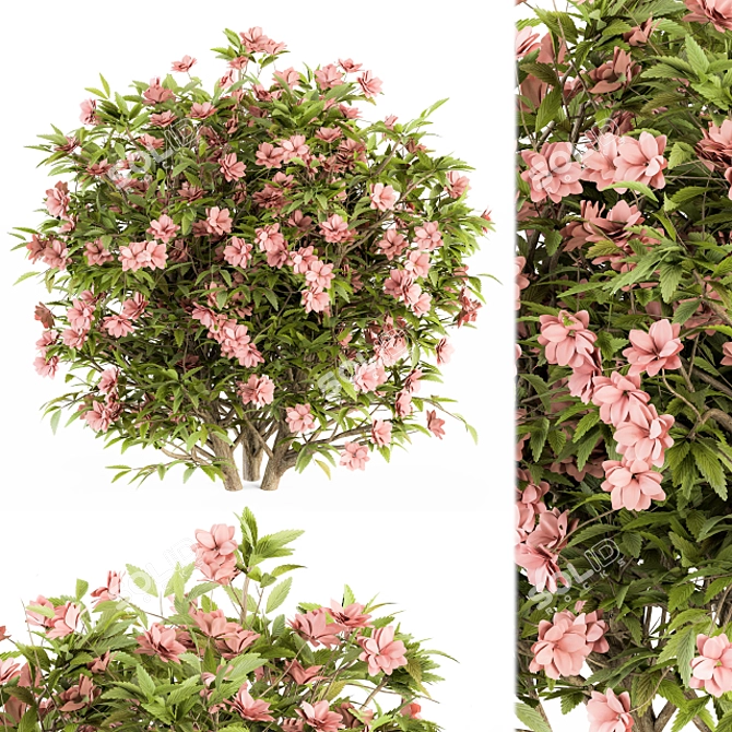 Pretty in Pink: Floral Bush Set 29 3D model image 1
