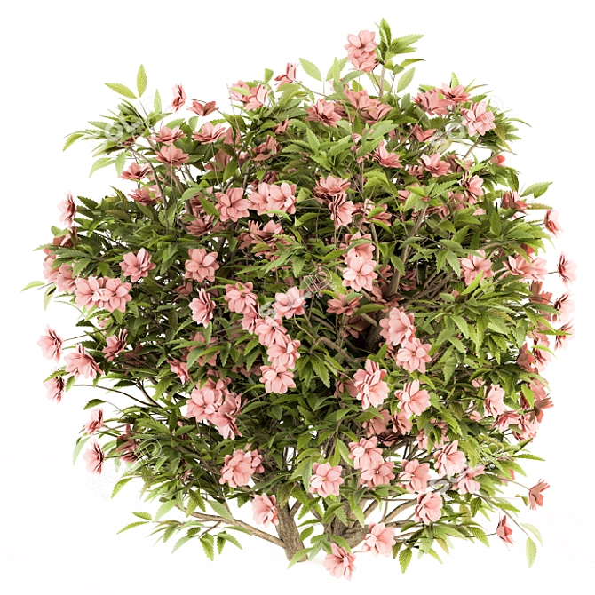 Pretty in Pink: Floral Bush Set 29 3D model image 2