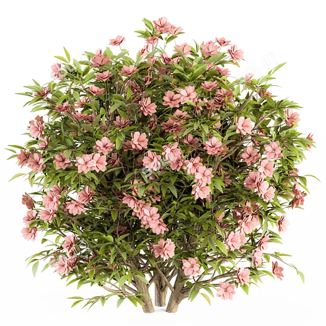 Pretty in Pink: Floral Bush Set 29 3D model image 3