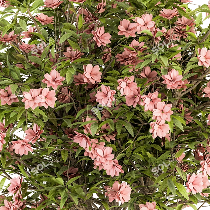 Pretty in Pink: Floral Bush Set 29 3D model image 4