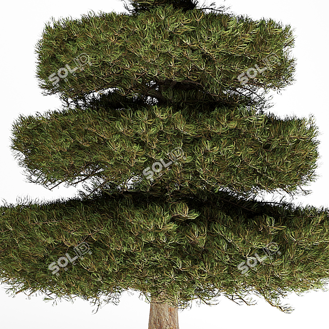Elegant Tree Sculpture 3D model image 4