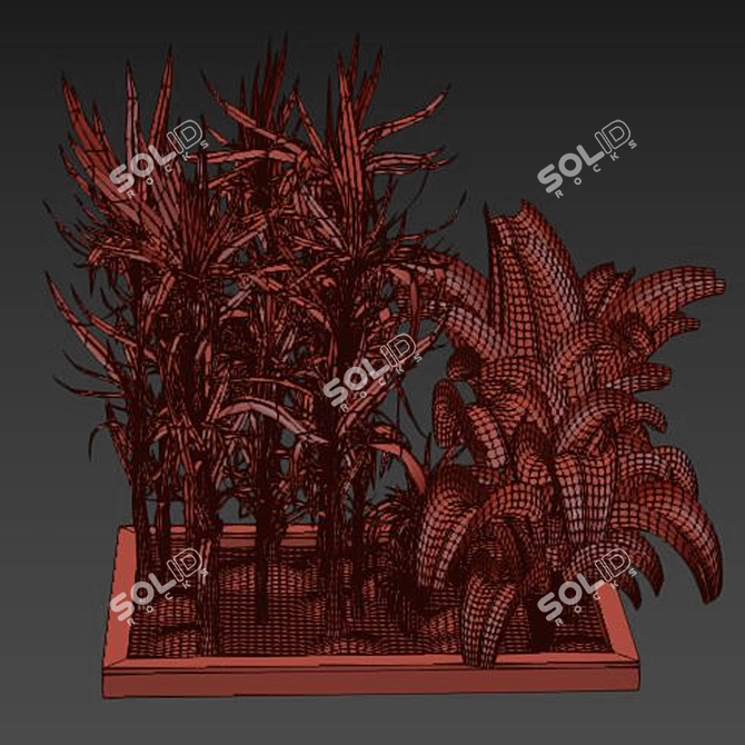 Nature's Haven: Outdoor Plant Collection 3D model image 3