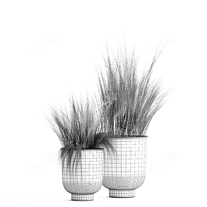 Tropical Plant Collection: Exotic and Decorative Options 3D model image 6