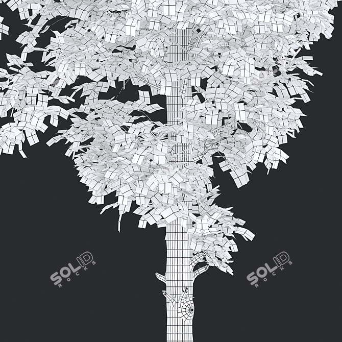 Turkish Hazel Tree - 2 Trees, Vray and Corona Materials 3D model image 6