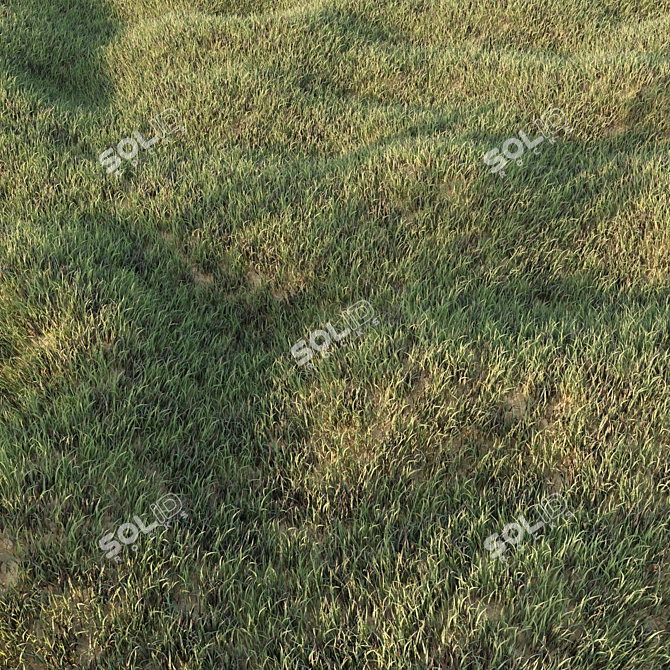 Lush Low Poly Grass Set 3D model image 1