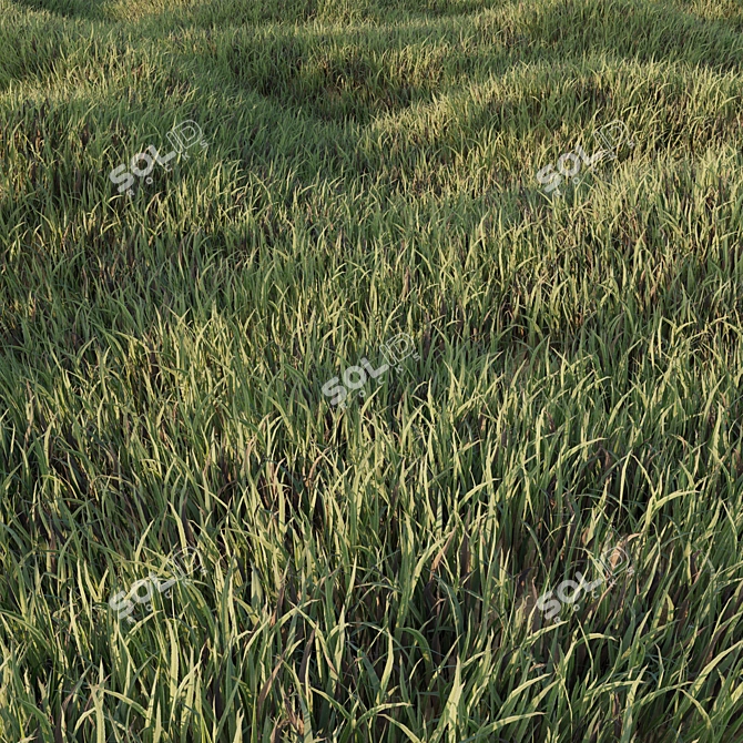 Lush Low Poly Grass Set 3D model image 2