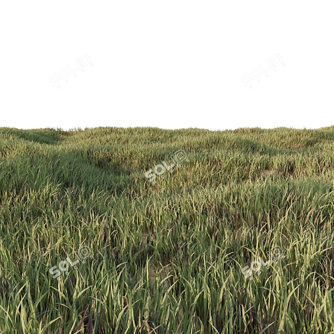 Lush Low Poly Grass Set 3D model image 3