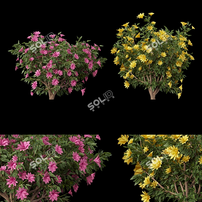  Vibrant Blooms Collection 3D model image 1