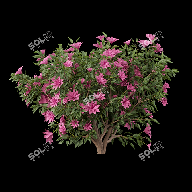  Vibrant Blooms Collection 3D model image 2