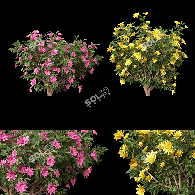  Vibrant Blooms Collection 3D model image 5