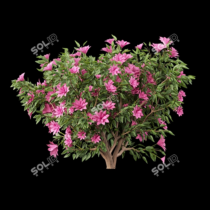  Vibrant Blooms Collection 3D model image 6