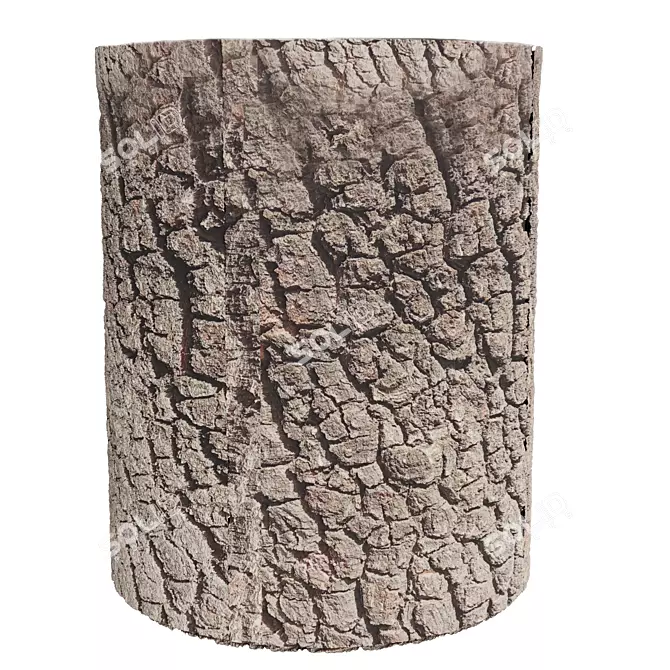Natural Wood Trunk Texture 3D model image 1