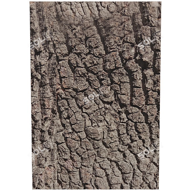 Natural Wood Trunk Texture 3D model image 2