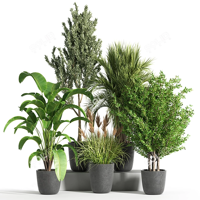 Botanical Bliss: Indoor Plant Set 37 3D model image 1