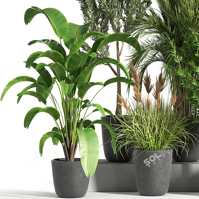 Botanical Bliss: Indoor Plant Set 37 3D model image 2