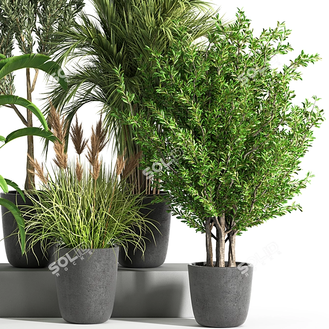 Botanical Bliss: Indoor Plant Set 37 3D model image 3