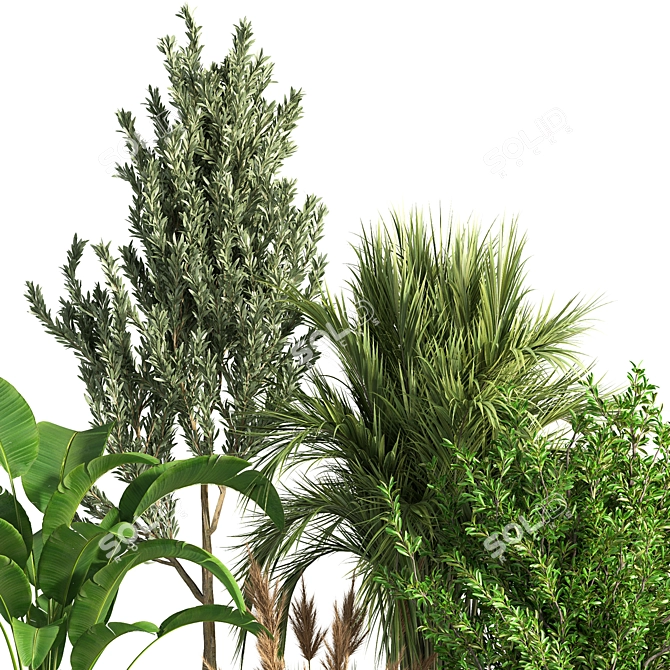 Botanical Bliss: Indoor Plant Set 37 3D model image 4