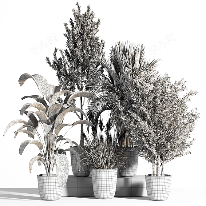 Botanical Bliss: Indoor Plant Set 37 3D model image 5