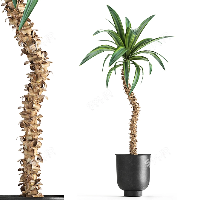 Tropical Plant Collection in Vig Planter 3D model image 4