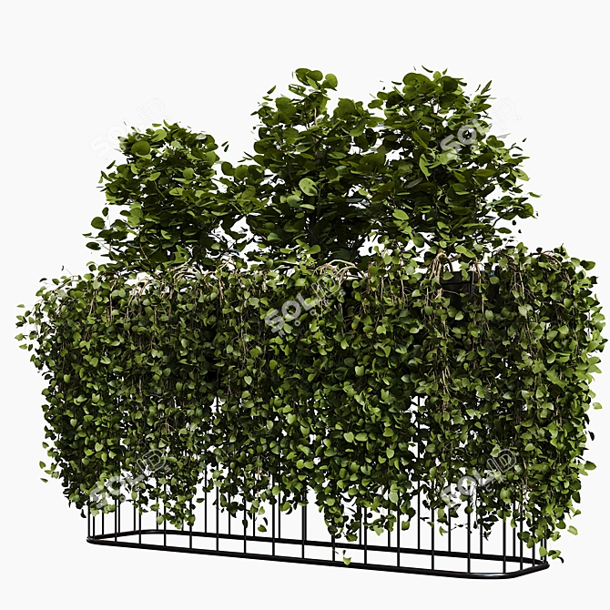 Elegant Outdoor Plant Box 3D model image 1