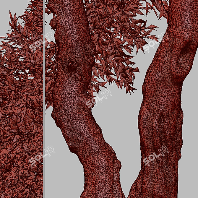 Arroyo Willow Set: 2 Salix lasiolepis Trees 3D model image 5