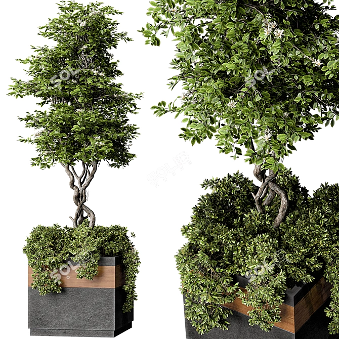 Ultimate Outdoor Plant Set 3D model image 2