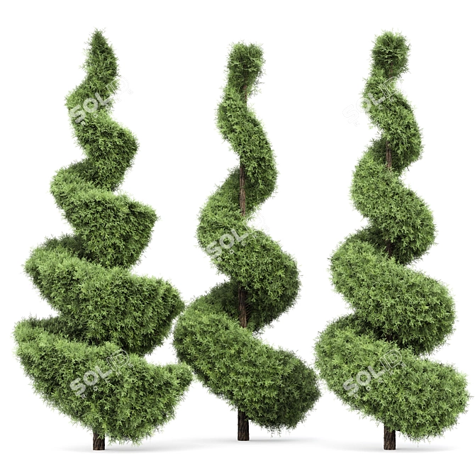 Italian Cypress Tree Set: Variety Heights & Realistic 3D Models 3D model image 2