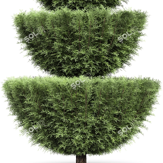 Italian Cypress Tree Set: Variety Heights & Realistic 3D Models 3D model image 4