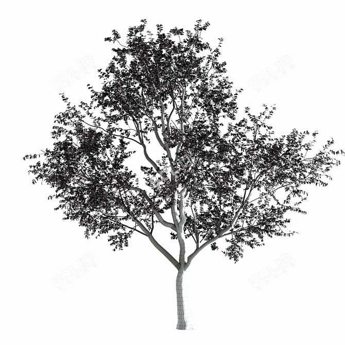 Nature's Shield: Tree Exterior 3D model image 3