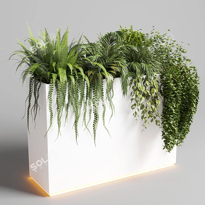 Indoor Plant Collection: 72 Pot Grass Fern Bush Palm Concrete Vase 3D model image 1